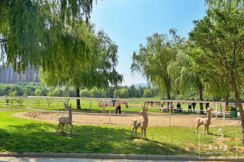 烟台山网红打卡地最值得看的,龙口打卡景点
