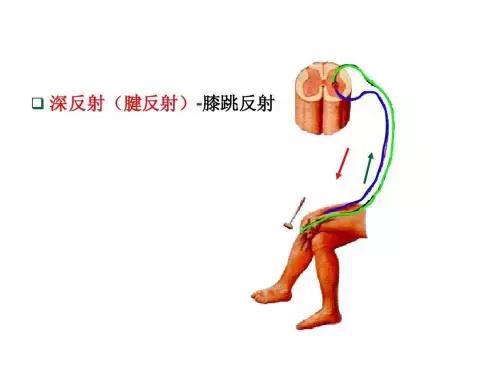 为什么点眼药水嘴巴要张开,滴眼药水为什么