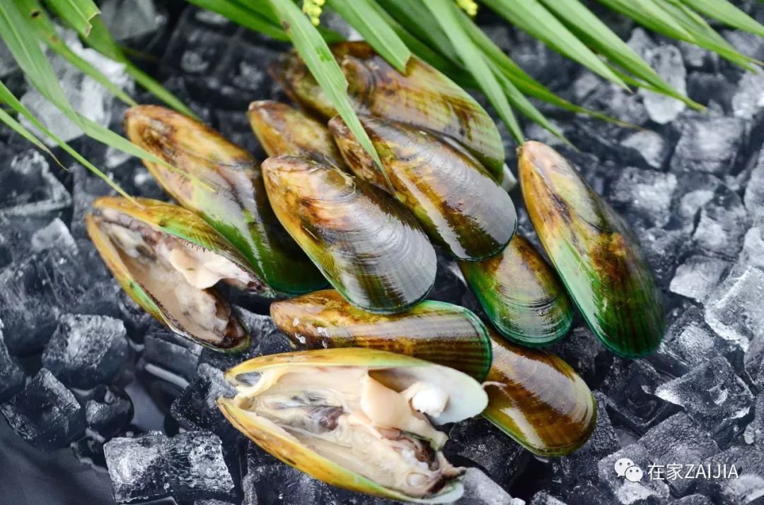 关节疼痛最快的外用偏方,快速缓解关节疼痛的凝胶