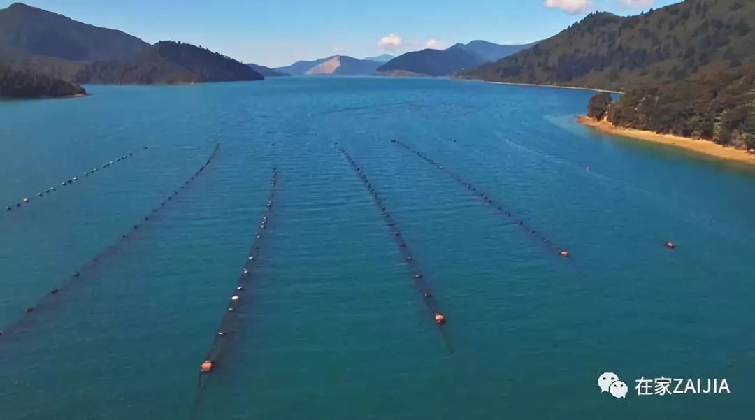 关节疼痛最快的外用偏方,快速缓解关节疼痛的凝胶