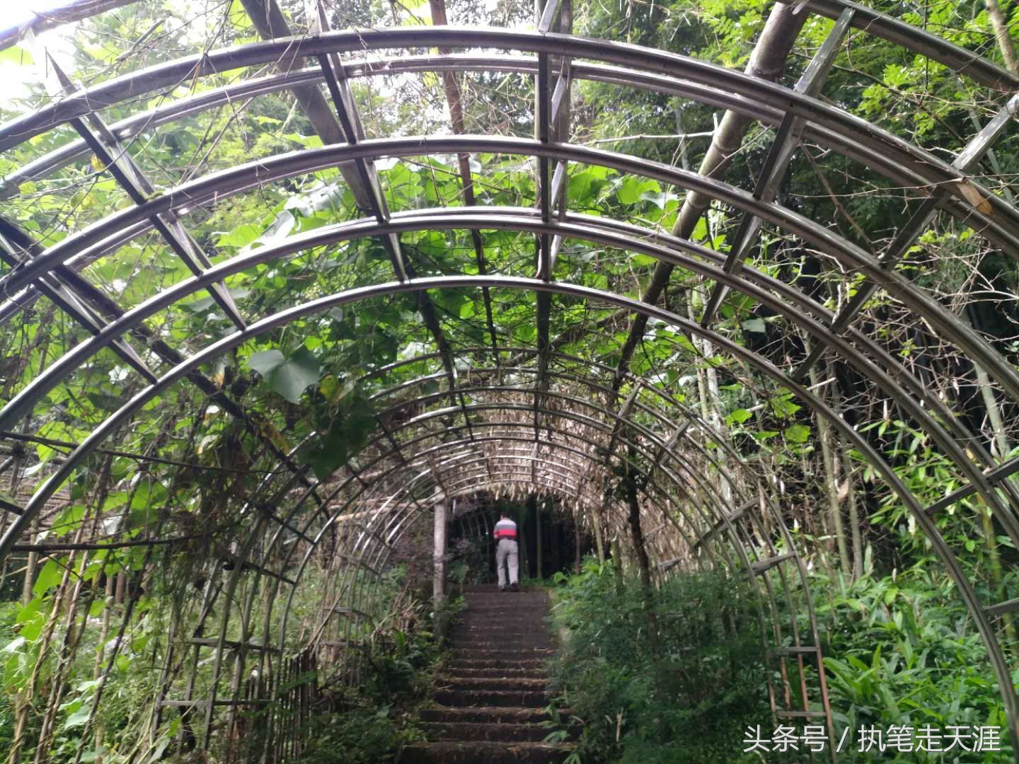 曾经成都人首选的度假小镇大邑花水湾，现在怎么样了？