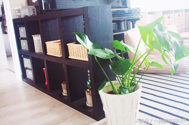 收纳症患者百般折腾，装出超舒服的家，看完想打印出来学习！