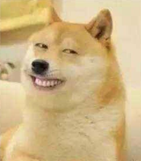 「哈哈」千万别看这些智障小说！哈哈哈哈哈哈哈哈哈哈哈……