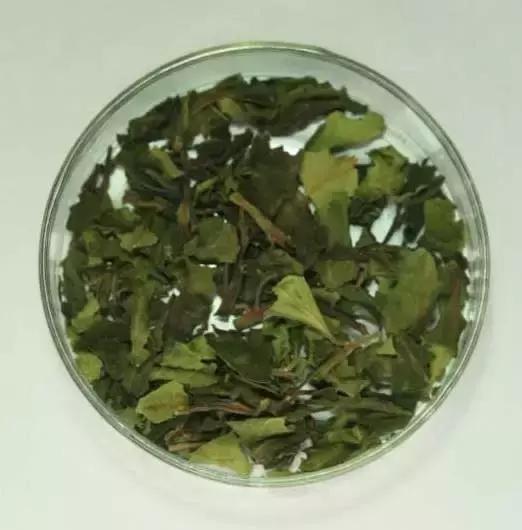 毒是怎么让人变坏？警官自制卡通动画，大学生与小朋友同堂欢笑！