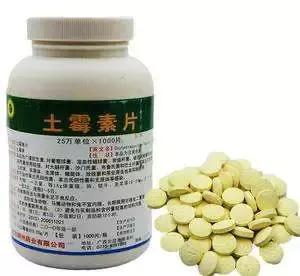 word天！牙齿变白后，人都美了好几度