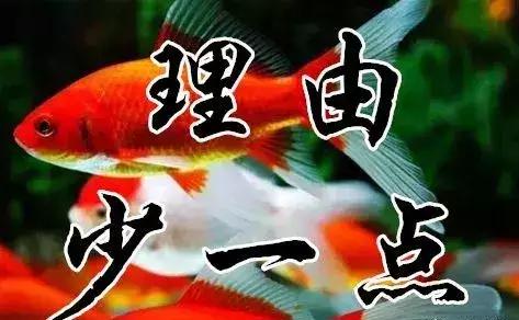 知足常乐每天都要保持开心的态势,知足常乐开心过好每一天