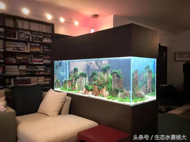 热天鱼缸闷热怎么降温,夏天鱼缸太热鱼生病怎么办