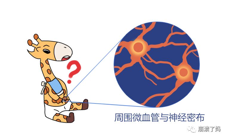 宝宝爱抠妈妈肚脐眼是什么原因,宝宝爱抠肚脐眼抠肿了