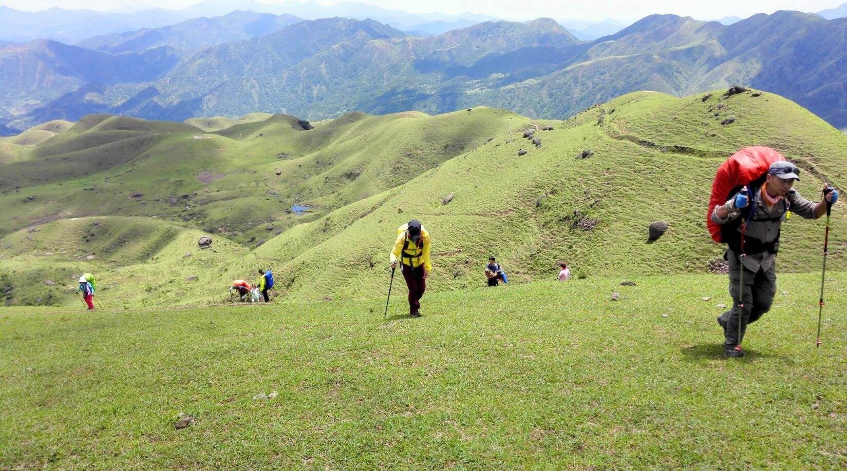 想看大草原是去西藏还是新疆,想看草原去哪里合适