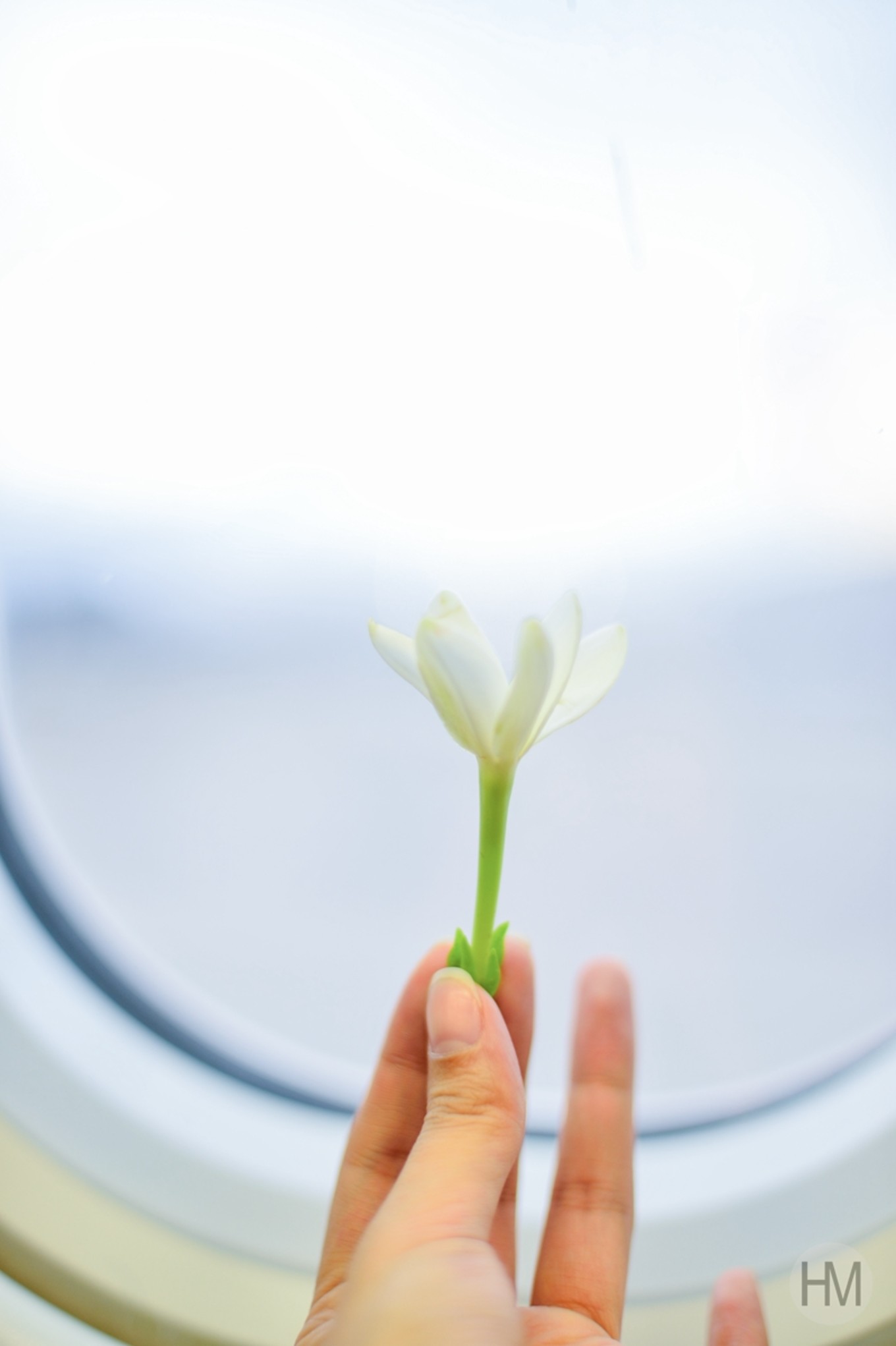 大溪地最接近天堂的地方,大溪地波拉波拉岛泳池