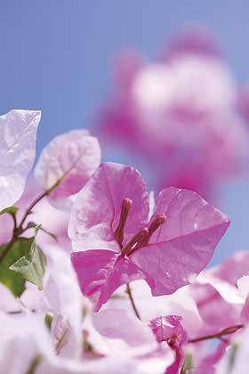 你不知道的相机功能,你所不知道的摄影师