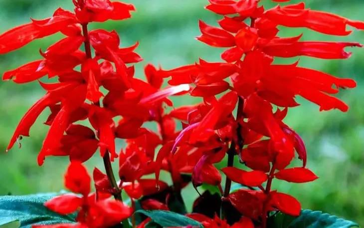 南阳人还去什么医院？你脚底下就是药房！