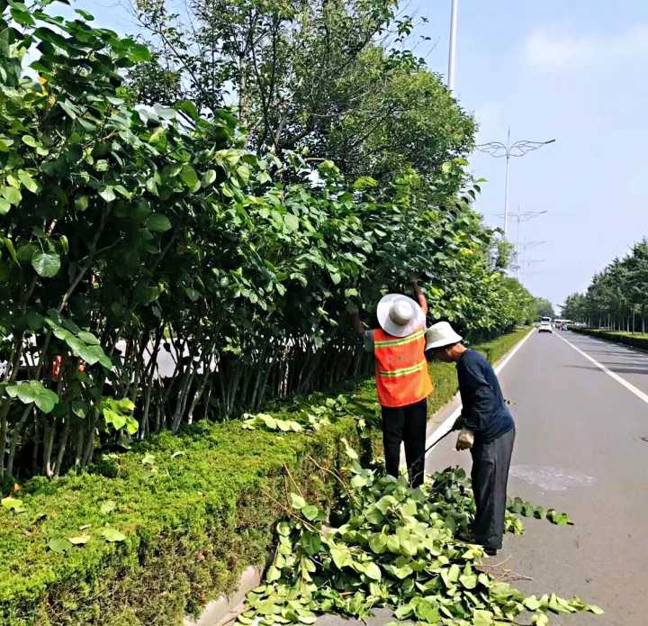 潍坊北海路改造最新消息,北海路口袋公园规划图