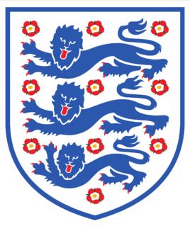 2018世界杯32强队徽合影,世界杯32支球队实力排行图
