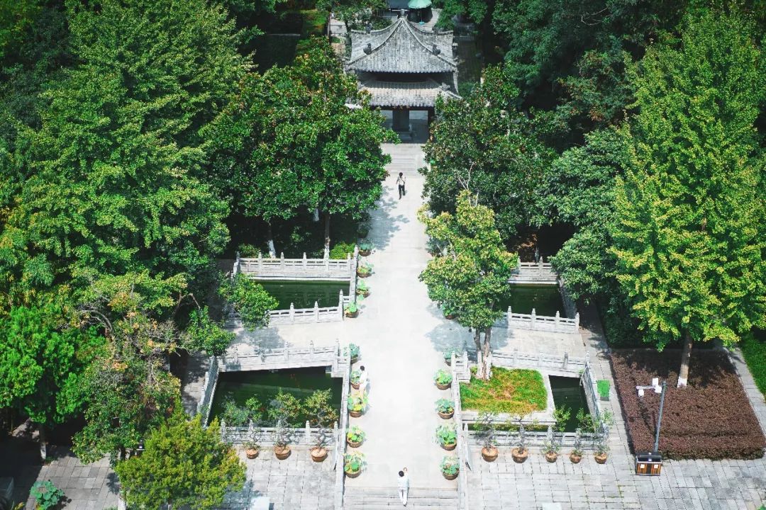 盛夏霸都合肥，漫步城市，像当地人一样生活