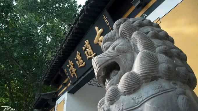 盛夏霸都合肥，漫步城市，像当地人一样生活