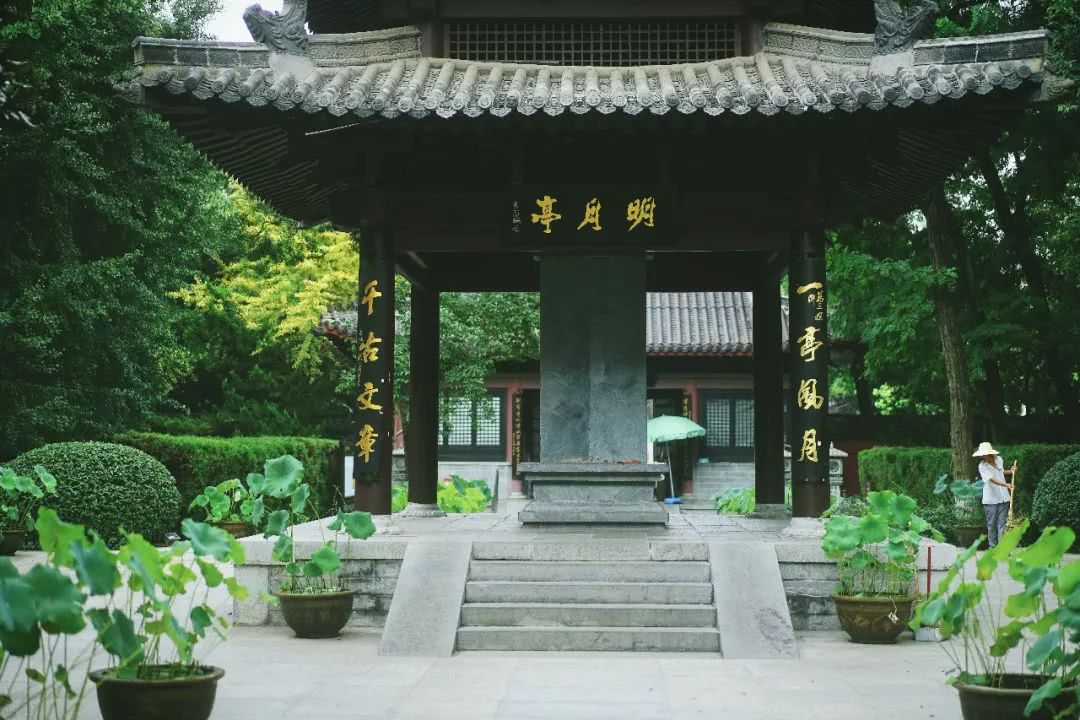 盛夏霸都合肥，漫步城市，像当地人一样生活