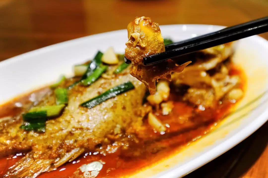 盛夏霸都合肥，漫步城市，像当地人一样生活