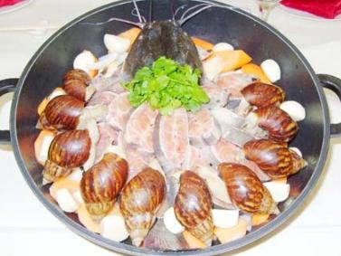 路边捡的蜗牛是什么蜗牛,下雨时候捡到了一只蜗牛