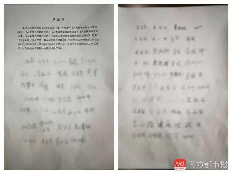 中山六院：医生走穴地下取卵“子虚乌有”，违规取卵对女性伤害极大