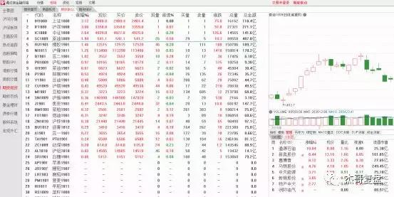 那一年的江湖，东邪南帝大对决