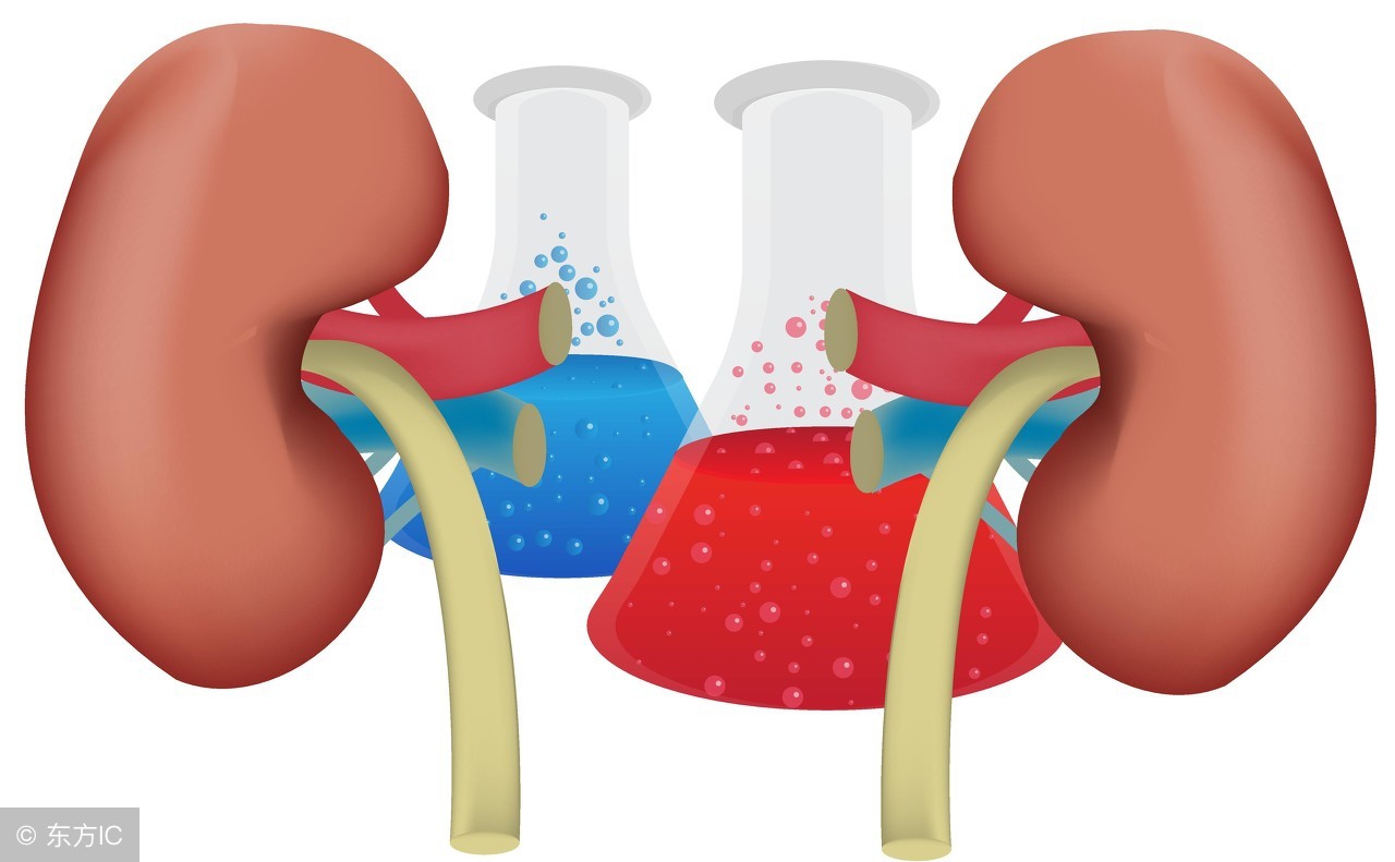 肾衰尿酸高可以多喝水吗,肾衰吃什么食物降尿酸