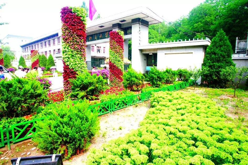 1990年北京海淀区老照片,奥运会老照片100张