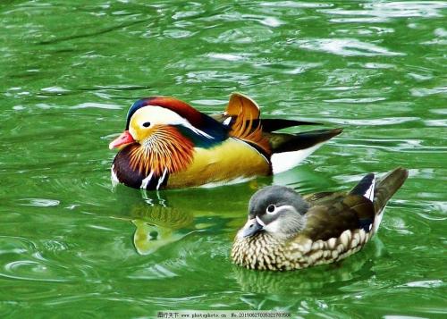 天岛聊吧：俺比呆郞子更懂分享快乐与困难的意义