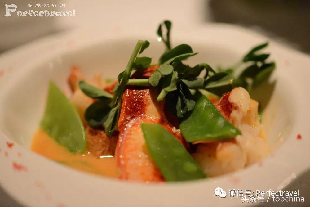 米其林厨神下饭,厨神的美味