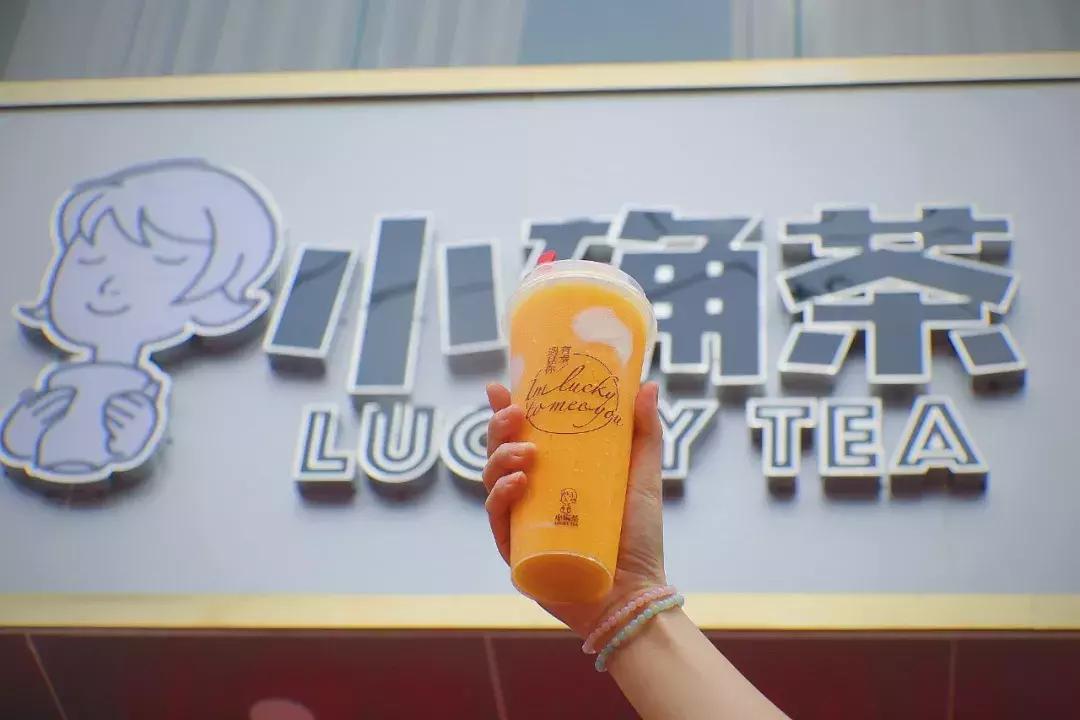 小确茶｜抓住夏天的尾巴，喝完这几杯，你的夏天才够圆满！