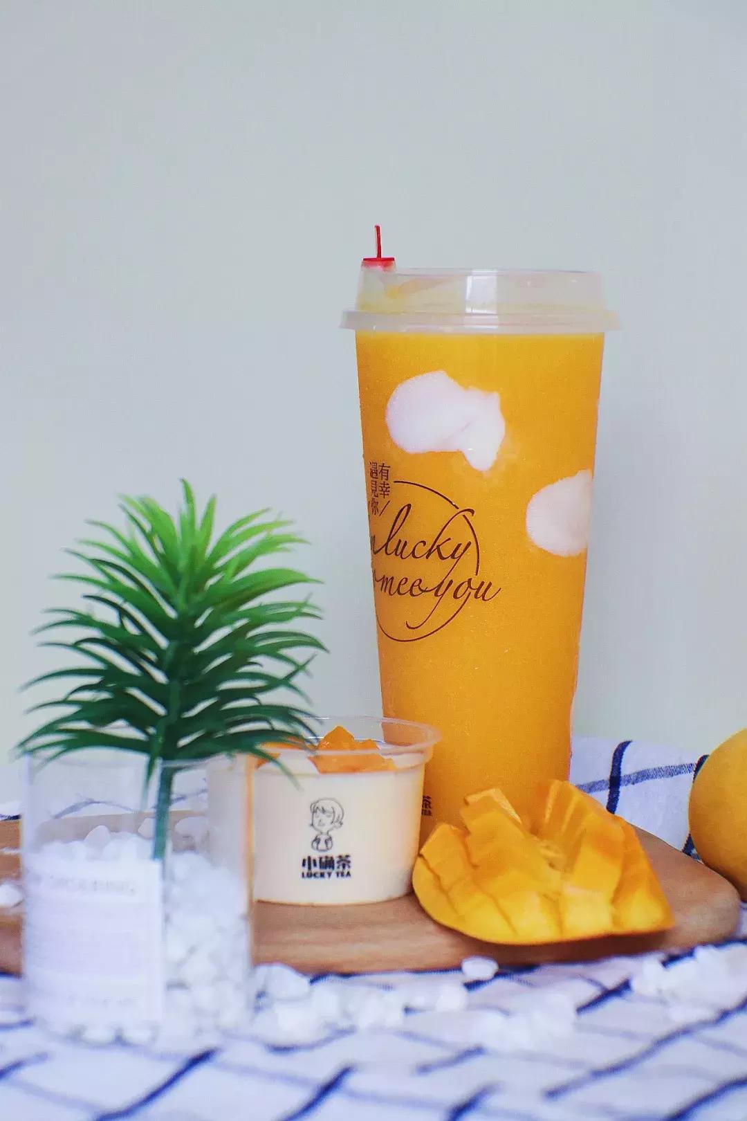 小确茶｜抓住夏天的尾巴，喝完这几杯，你的夏天才够圆满！