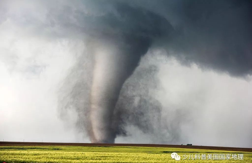 如果遇到龙卷风怎么办,看见龙卷风了怎么办