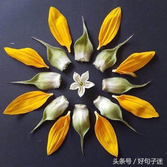 启迪人生哲理短句,人生启迪的格言警句