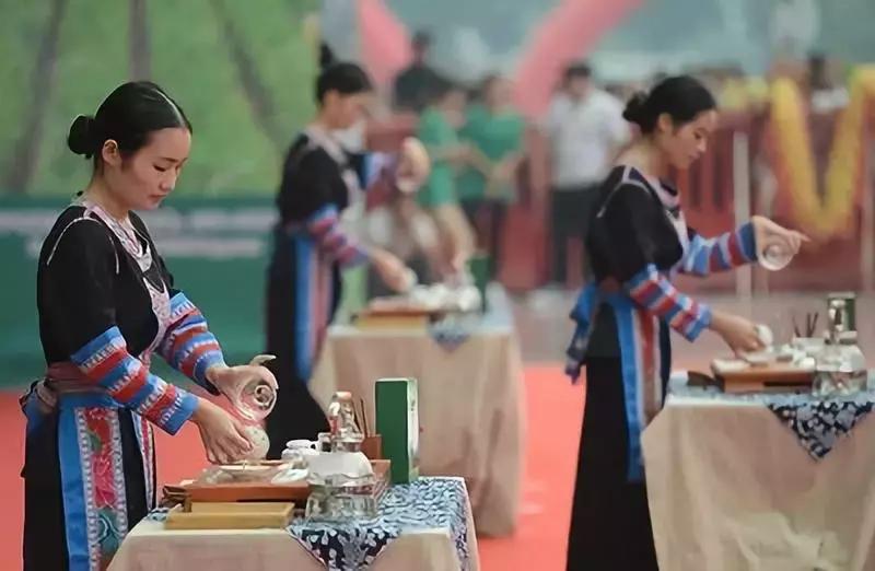 茶叶产业集群建设,茶业的发展规划方案