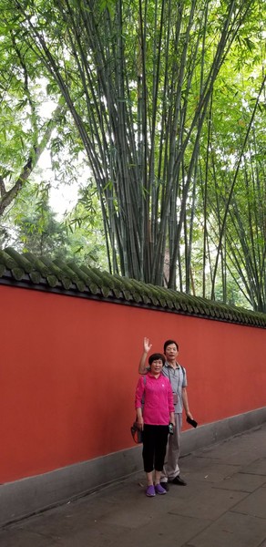 带着爸妈自由行攻略,带父母和孩子成都怎么玩