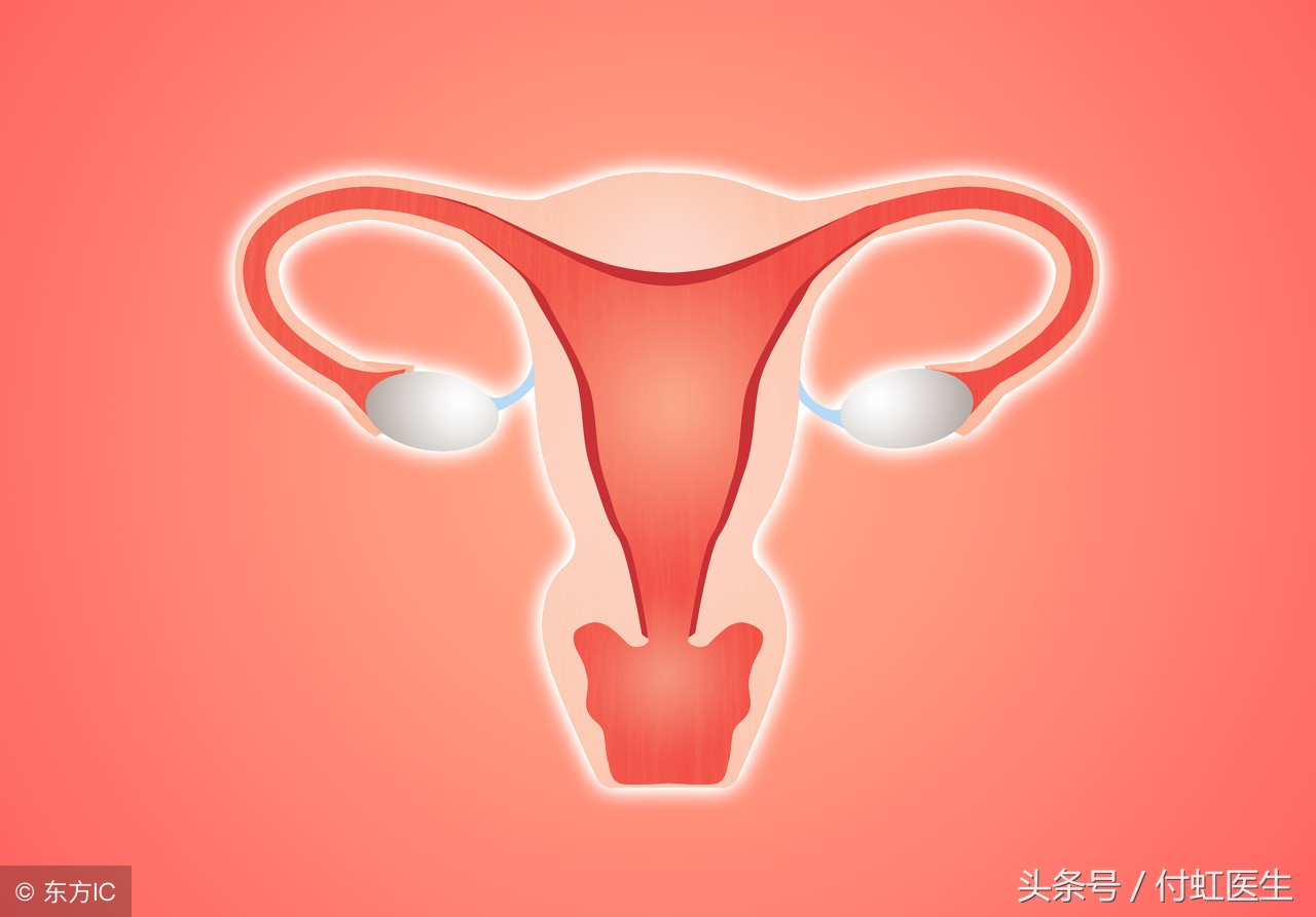 要想一亲卵子小姐的芳泽，精子先生需要突破三个关口！