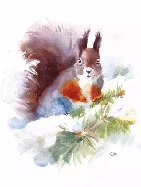 水彩教程颜料,水彩的基本知识与技法