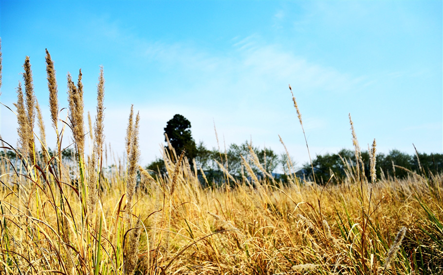 怀化市麻阳县锦和镇风景,锦和镇有什么好玩的