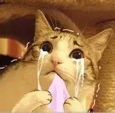 天竺鼠跟天竺有什么关系，原来只是想说明一个道理