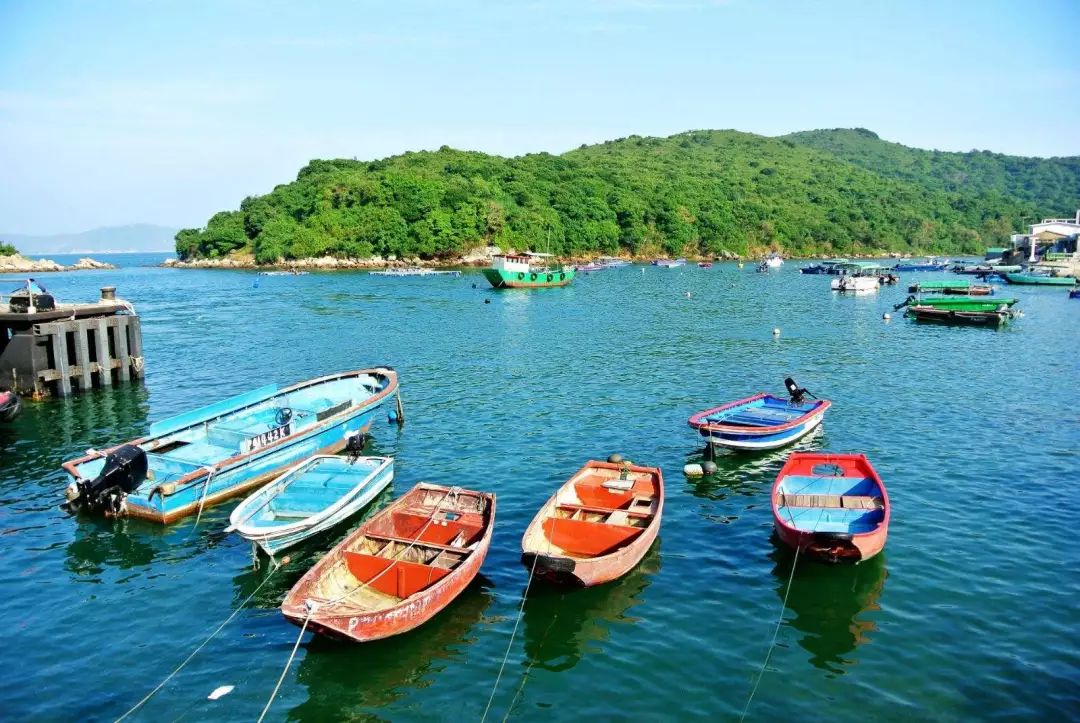 广深港高铁香港站需要中转吗,广深港高铁去香港最新政策规定