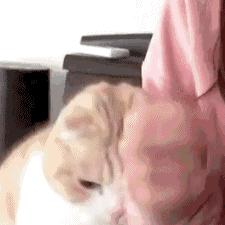 揭露淘宝买衣服的潜规则 (淘宝买衣服怎么避免雷区)
