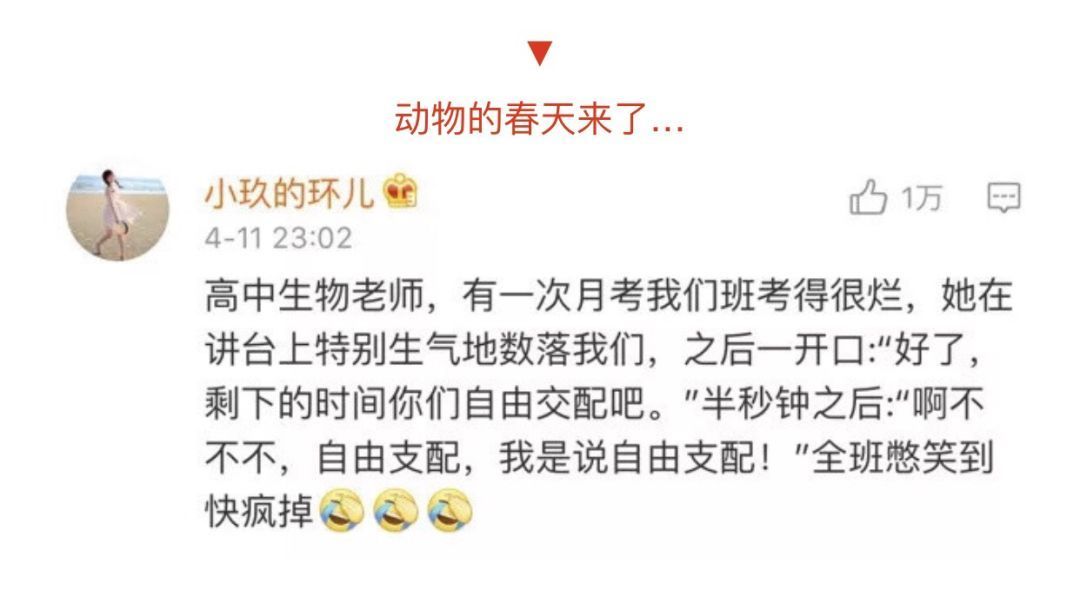 游戏吃鸡搞笑段子,搞笑吃鸡段子套路