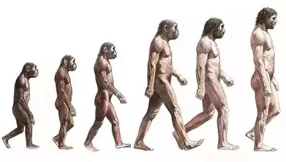 用呗金融,用呗金融平台