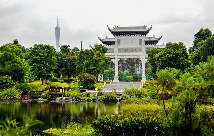 广州值得去的湿地公园,广州湿地公园拍摄