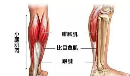 肌肉拉伤的原因及处理方法,小腿肌肉拉伤是什么原因引起的