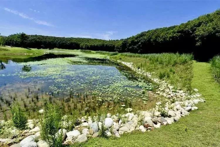 青龙湖好玩不,青龙湖值得去吗
