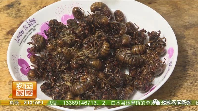 夏日纳凉好不惬意,夏日纳凉