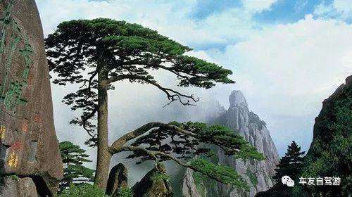 合肥出发自驾游黄山攻略,合肥黄山旅游路线攻略最新