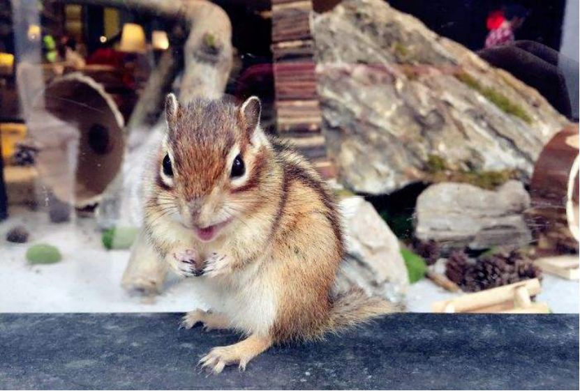 佛山市图书馆蜂蜂故事会,蜂巢故事会推荐