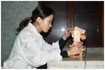 地震局里面有什么,地震局有什么用处